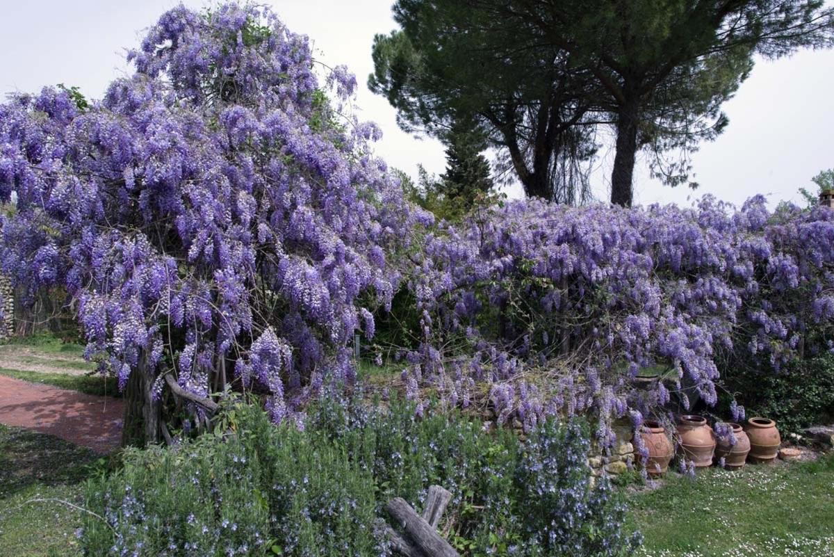 Molino In Chianti Villa Mercatale Val Di Pesa Exteriör bild