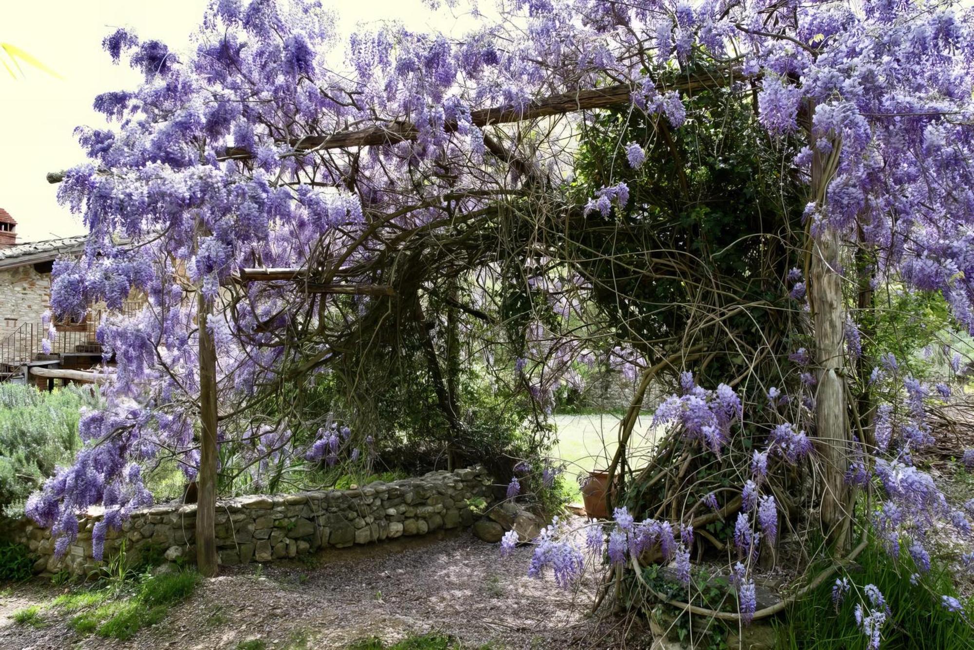 Molino In Chianti Villa Mercatale Val Di Pesa Exteriör bild